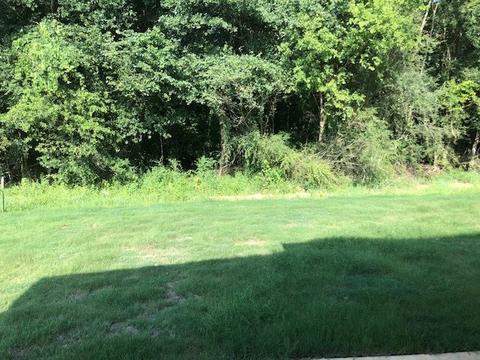 290 Buttonwood Ln, Canton, MS 39046 photo 15