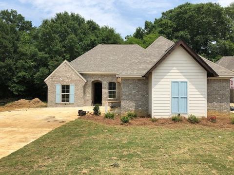 290 Buttonwood Ln, Canton, MS 39046 photo 1