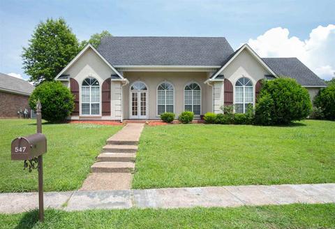 547 Brighton Cir, Brandon, MS 39047 photo 1