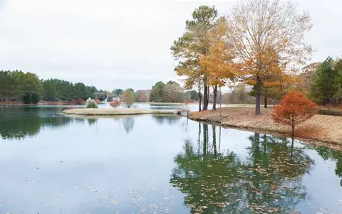 152 Grace Ln, Flora, MS 39071 photo 46