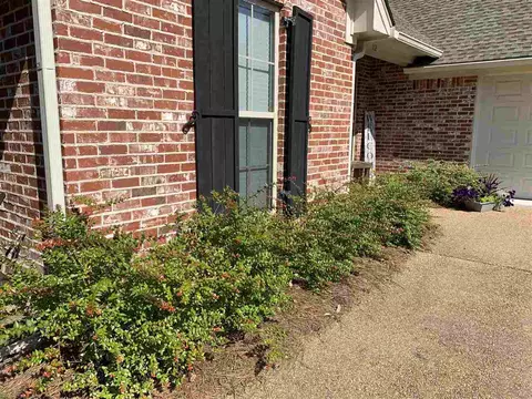 112 Meadowcreek Dr, Brandon, MS 39042 photo 21