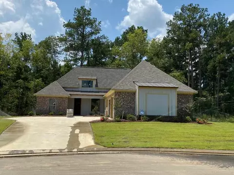 1317 Ballast Way, Brandon, MS 39047 photo 1