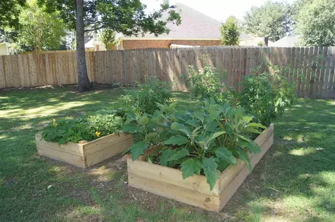 203 Planters Cv, Madison, MS 39110 photo 21