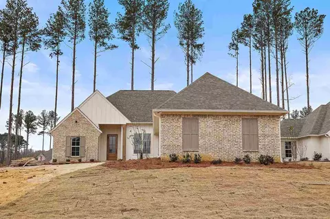 1203 Cutter Ln, Brandon, MS 39047 photo 1