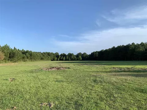 396 Vaughn Ln, Morton, MS 39117 photo 25