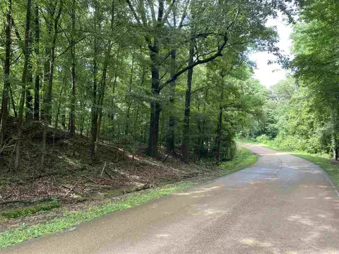 3395 Phoenix Rd, Bentonia, MS 39040 photo 3