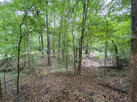 3395 Phoenix Rd, Bentonia, MS 39040 photo 25