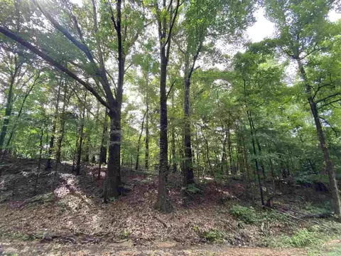 3395 Phoenix Rd, Bentonia, MS 39040 photo 26