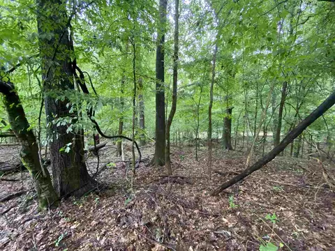 3395 Phoenix Rd, Bentonia, MS 39040 photo 24