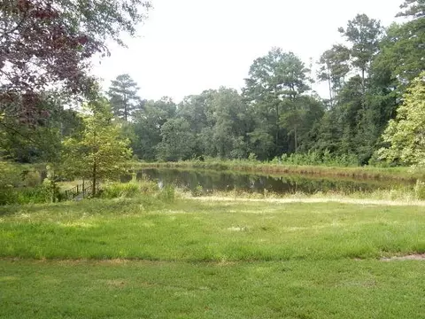 817 Dixie Ave, Mendenhall, MS 39114 photo 35
