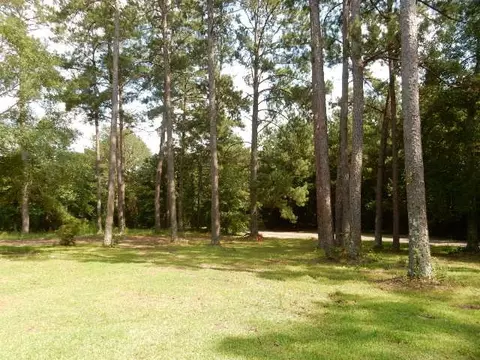 817 Dixie Ave, Mendenhall, MS 39114 photo 2