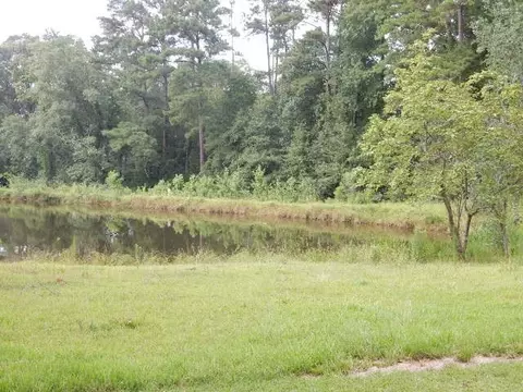 817 Dixie Ave, Mendenhall, MS 39114 photo 37