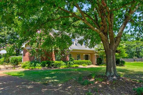 205 Hawkridge Pl, Madison, MS 39110 photo 8