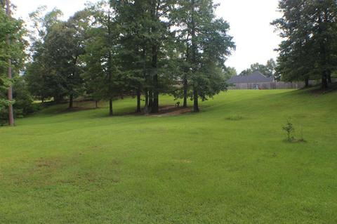 1395 Olivia Ln, Terry, MS 39170 photo 41