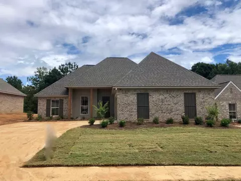 310 Buttonwood Ln, Canton, MS 39046 photo 1