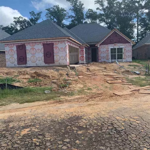 113 Ashley Park Dr, Byram, MS 39272 photo 1