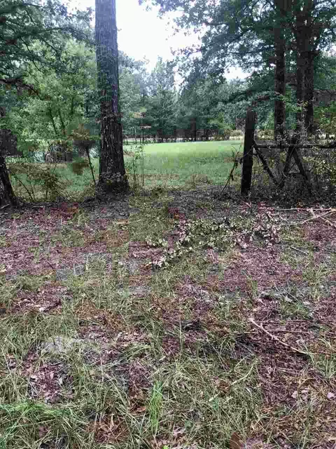 678 Coal Bluff Rd, Lena, MS 39094 photo 14