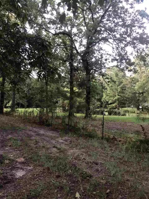 678 Coal Bluff Rd, Lena, MS 39094 photo 2