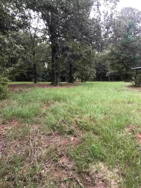 678 Coal Bluff Rd, Lena, MS 39094 photo 20