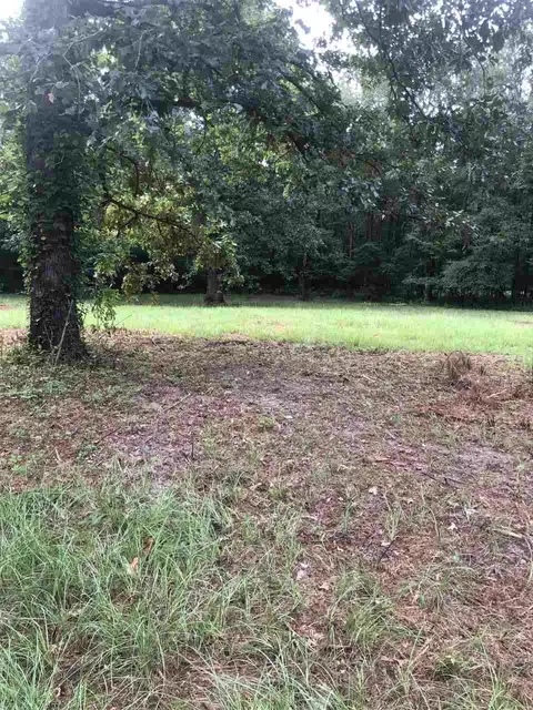 678 Coal Bluff Rd, Lena, MS 39094 photo 5