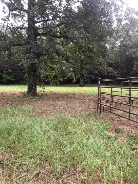 678 Coal Bluff Rd, Lena, MS 39094 photo 8