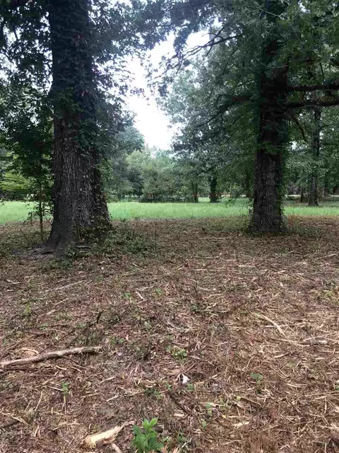 678 Coal Bluff Rd, Lena, MS 39094 photo 9