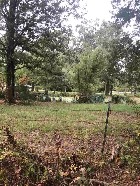 678 Coal Bluff Rd, Lena, MS 39094 photo 4