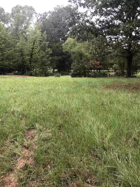 678 Coal Bluff Rd, Lena, MS 39094 photo 11