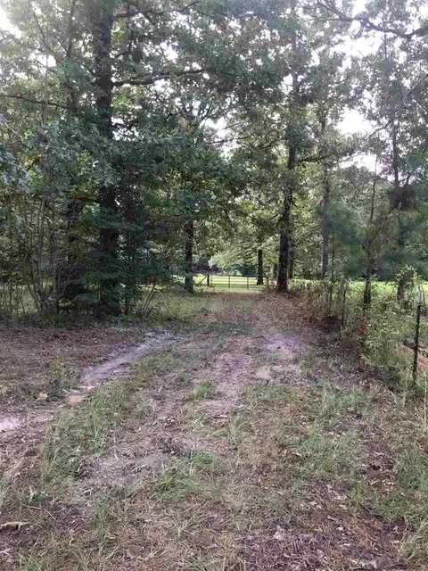 678 Coal Bluff Rd, Lena, MS 39094 photo 3