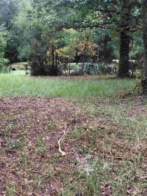 678 Coal Bluff Rd, Lena, MS 39094 photo 13