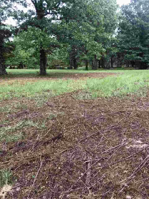 678 Coal Bluff Rd, Lena, MS 39094 photo 7