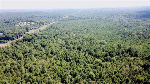 191 Cooper Rd, Pickens, MS 39146 photo 5