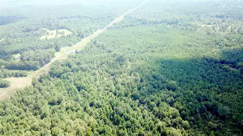 191 Cooper Rd, Pickens, MS 39146 photo 3