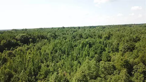 191 Cooper Rd, Pickens, MS 39146 photo 9
