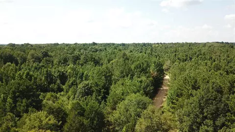 191 Cooper Rd, Pickens, MS 39146 photo 7