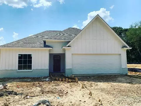 297 Buttonwood Ln, Canton, MS 39046 photo 1