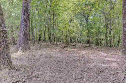 720 Laney Dr, Clinton, MS 39056 photo 36