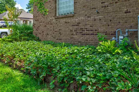 565 Turtle Ln, Brandon, MS 39047 photo 5