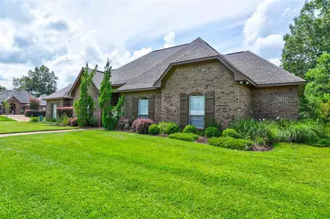 565 Turtle Ln, Brandon, MS 39047 photo 3