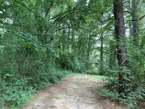 5151 Tomahawk Trl, Eupora, MS 39744 photo 4