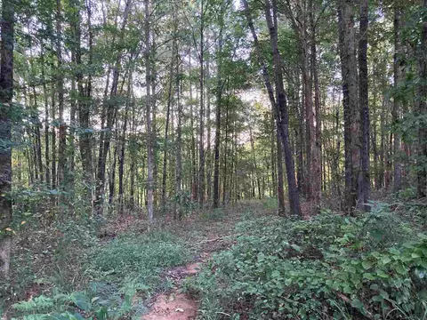 5151 Tomahawk Trl, Eupora, MS 39744 photo 18