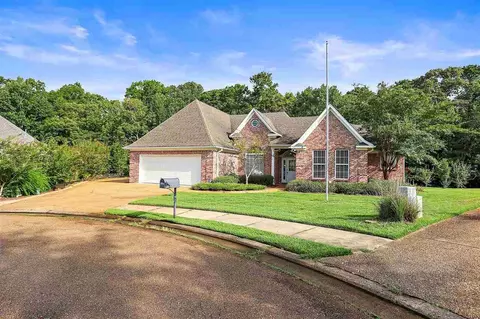 1014 Destiny Cv, Brandon, MS 39042 photo 5