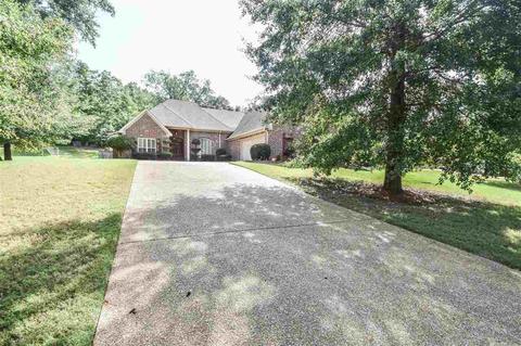 603 Prosperity Dr, Brandon, MS 39042 photo 1