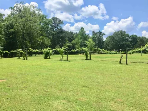 4096 County Line Rd, Carthage, MS 39051 photo 14