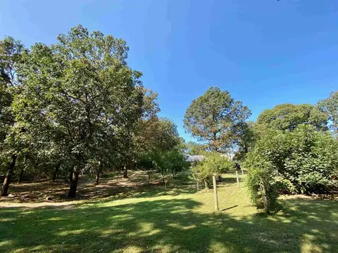 4096 County Line Rd, Carthage, MS 39051 photo 24