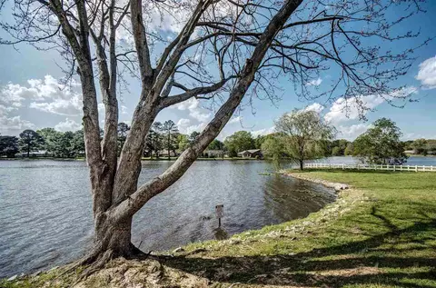 361 Lakebend Dr, Brandon, MS 39042 photo 21