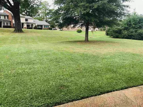 361 Lakebend Dr, Brandon, MS 39042 photo 17