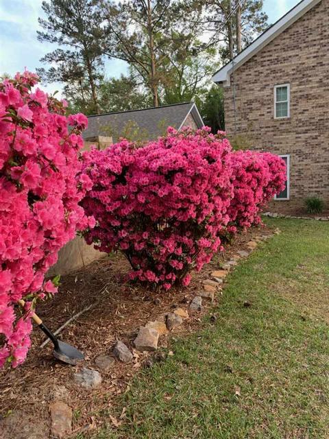 208 Sanders St, Forest, MS 39074 photo 47