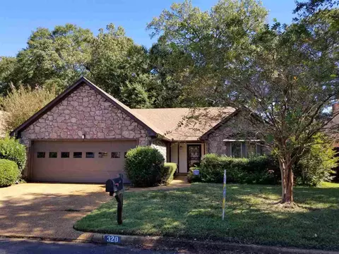 320 Wicklow Cv, Brandon, MS 39047 photo 1