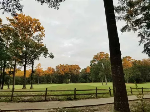 320 Wicklow Cv, Brandon, MS 39047 photo 18
